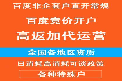 百度竞价广告代运营如何帮助某科技公司提升品牌知名度
